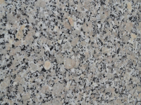 Gris perla Granite