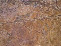 Rainforest brown marble brushed Granite