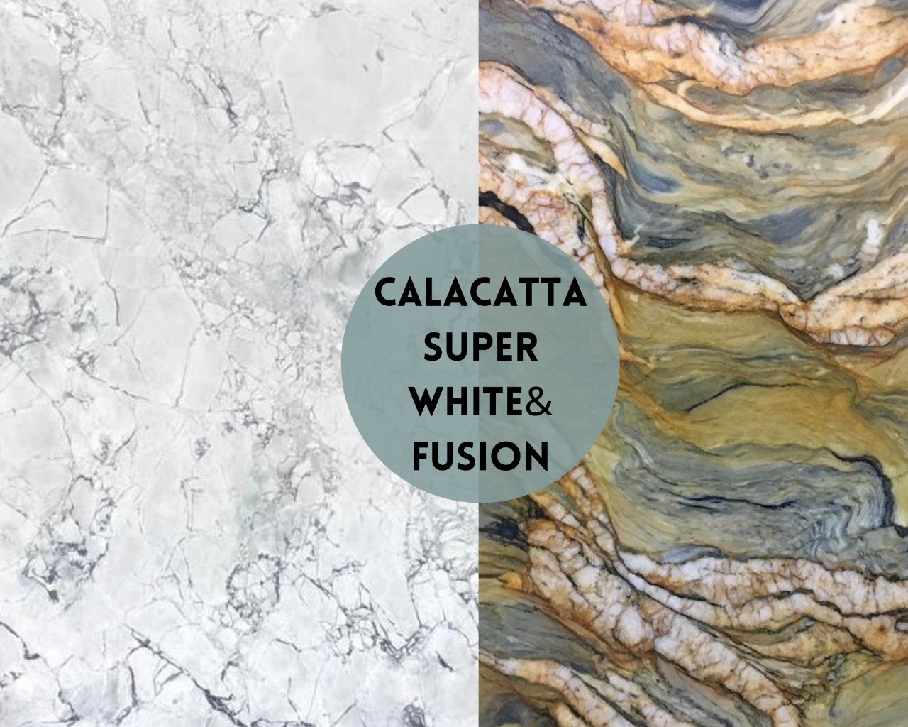 Calacatta Super White Quartzite & Fusion Quartzite